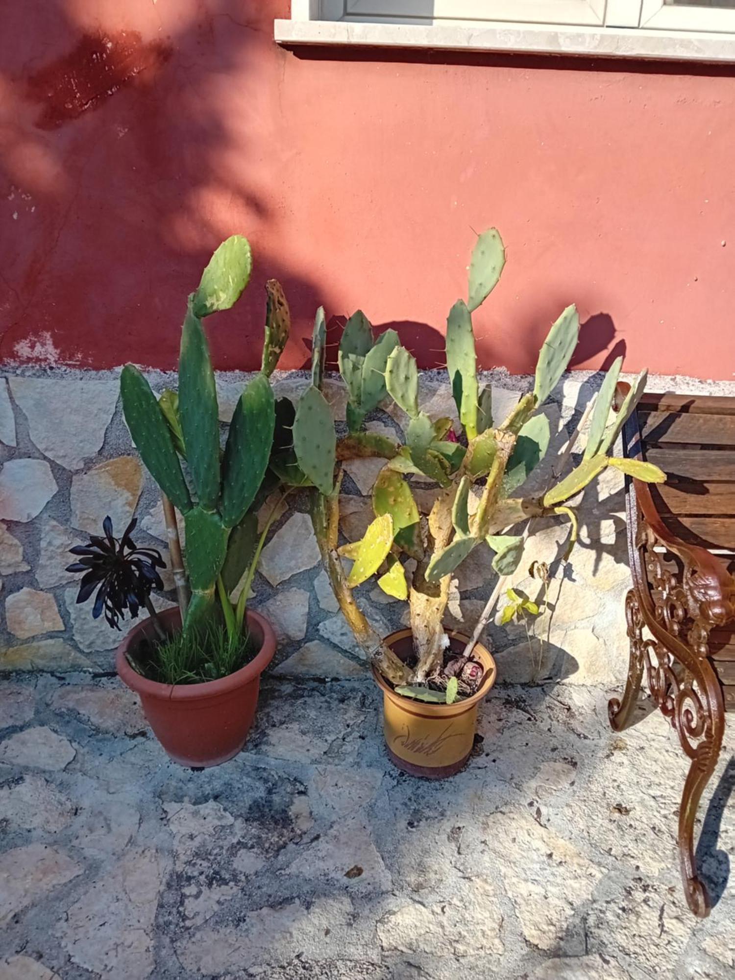 Bella Di Notte Appartement San Giorgio a Liri Buitenkant foto